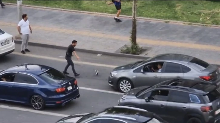 Yaralı Güvercin Trafiği Felç Etti