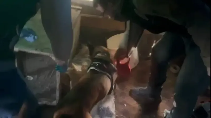Büyük Uyuşturucu Operasyonu