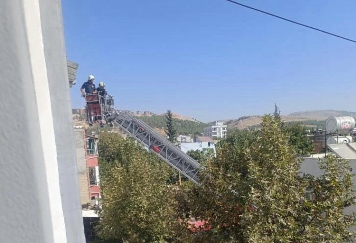 Mahsur Kalan Güvercin İtfaiye Ekiplerince Kurtarıldı