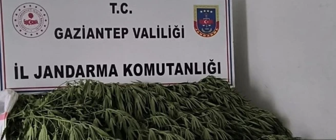 Uyuşturucu Operasyonunda 8 Şüpheli Gözaltına Alındı