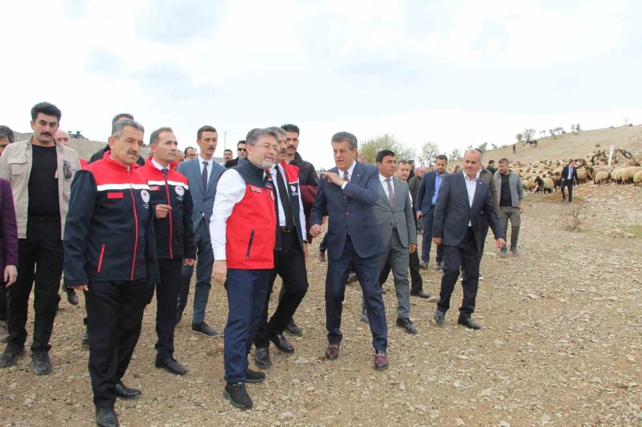 Bakan Yumaklı, Kuzu Koyun Buluşmasını İzledi
