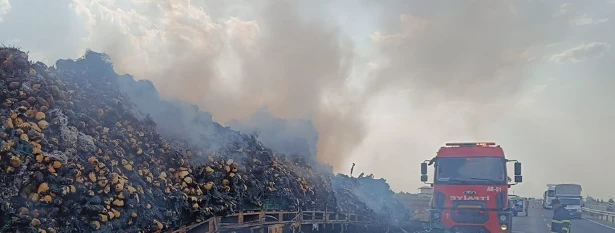 Seyir Halindeki Armut Yüklü Tır Alev Aldı