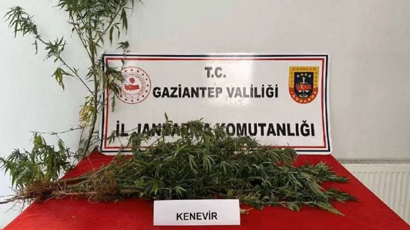 Büyük Kaçakçılık ve Uyuşturucu Operasyonu