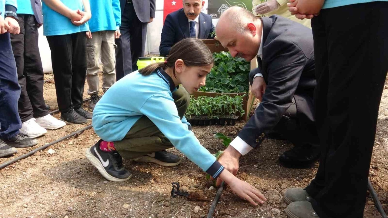 Okul Bahçesine Kurulan Serada Sebze Yetiştirilecek Öğrenciler hem çiftçilik