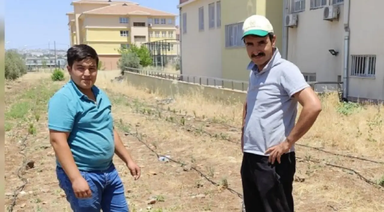 Toprak mı Enerji mi? Eğitimci Pekşahin’den Siverekli Çiftçilere Hayati Uyarılar