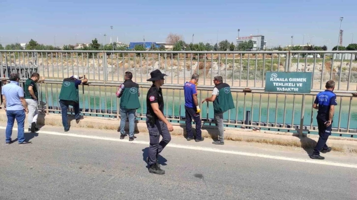 Sulama Kanalında Bulunan Dev Kaplumbağa