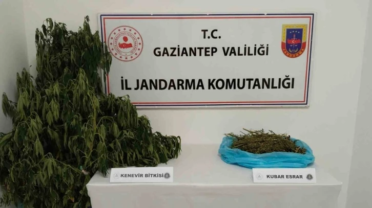 Bir Şüpheli Gözaltına Alındı