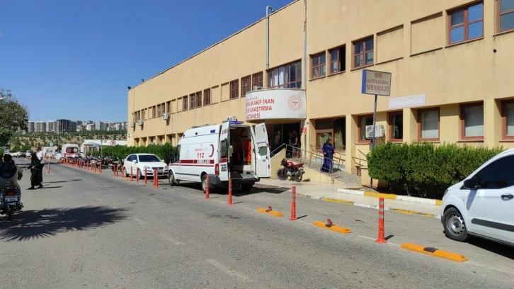 Kuduz Köpek Şanlıurfa'da Bir Vatandaşı Isırdı