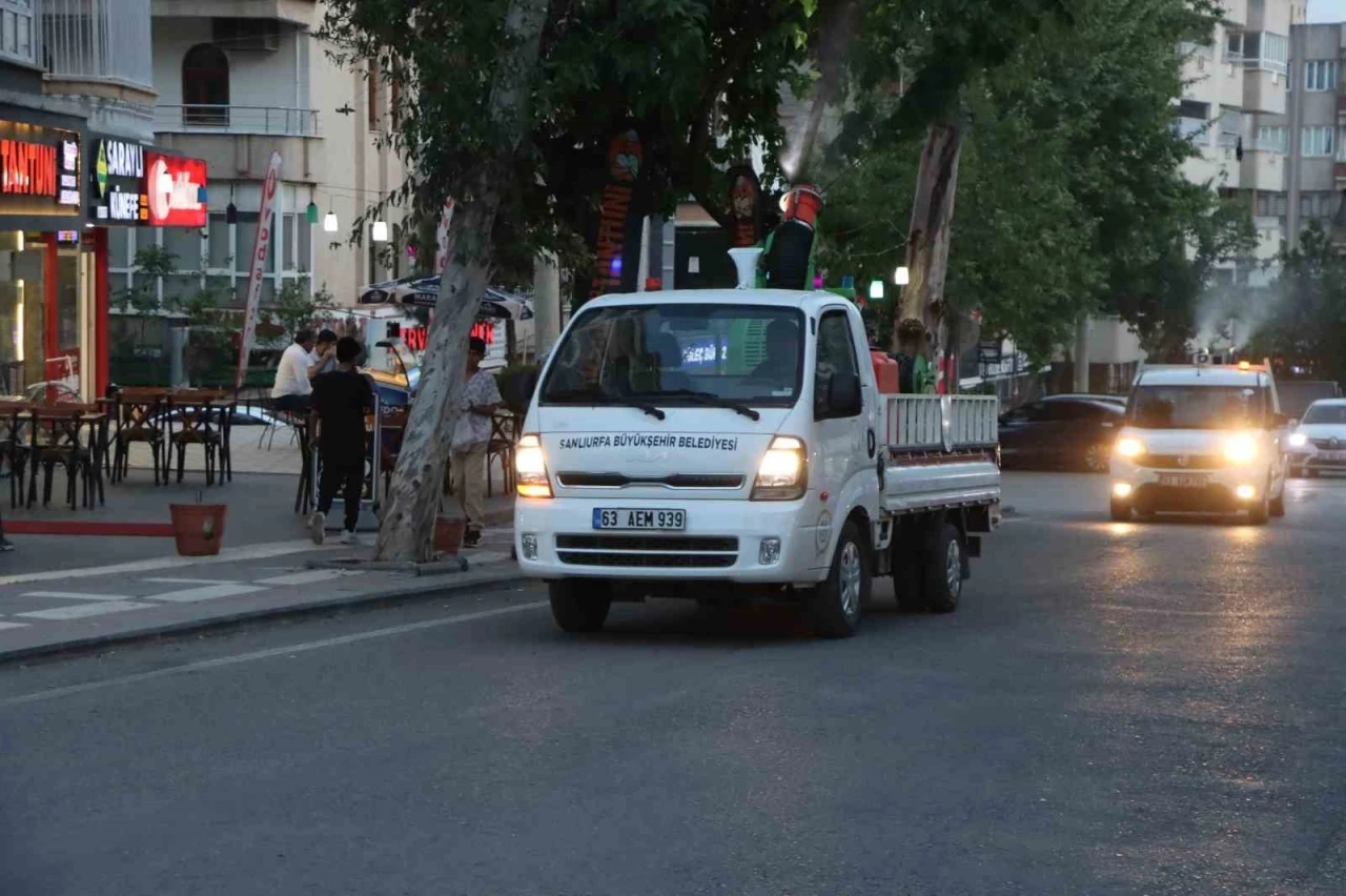Vektörle Mücadele Seferberliği: Önlemler Giderek Artıyor