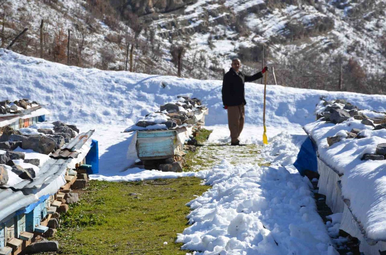 Binlerce Bal Arısı İçin Mücadele