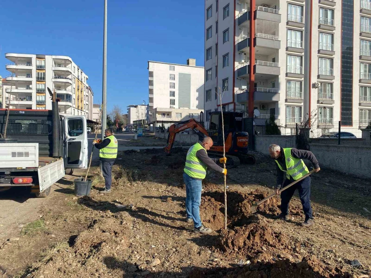 Ağaçlandırma Çalışmalarına Hızla Devam Ediyor