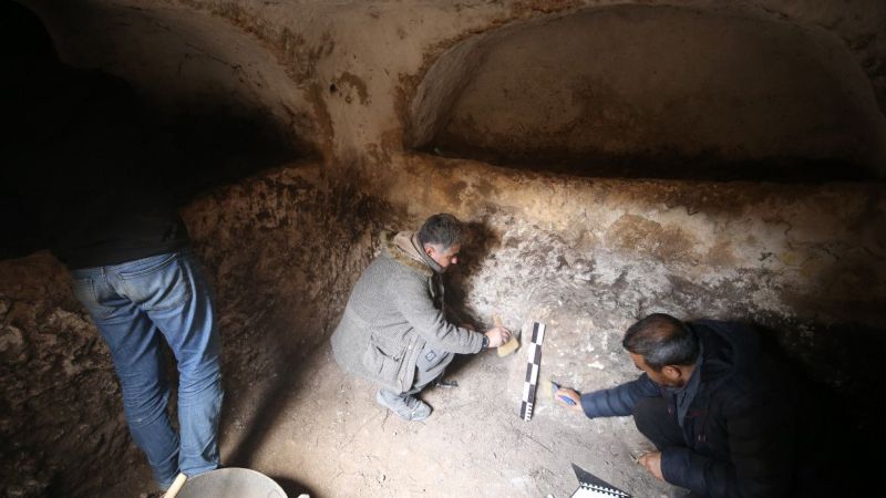 Mardin'deki Kazılarda 1500 Yıllık Anadolu Leoparı Kemikleri Bulundu