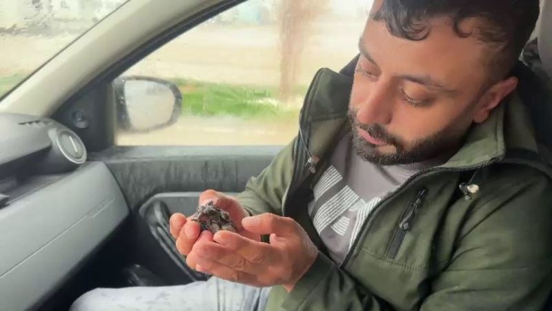 Merhametli Gazeteci, Sel Sularında Mücadele Eden Serçeyi Kurtarıyor