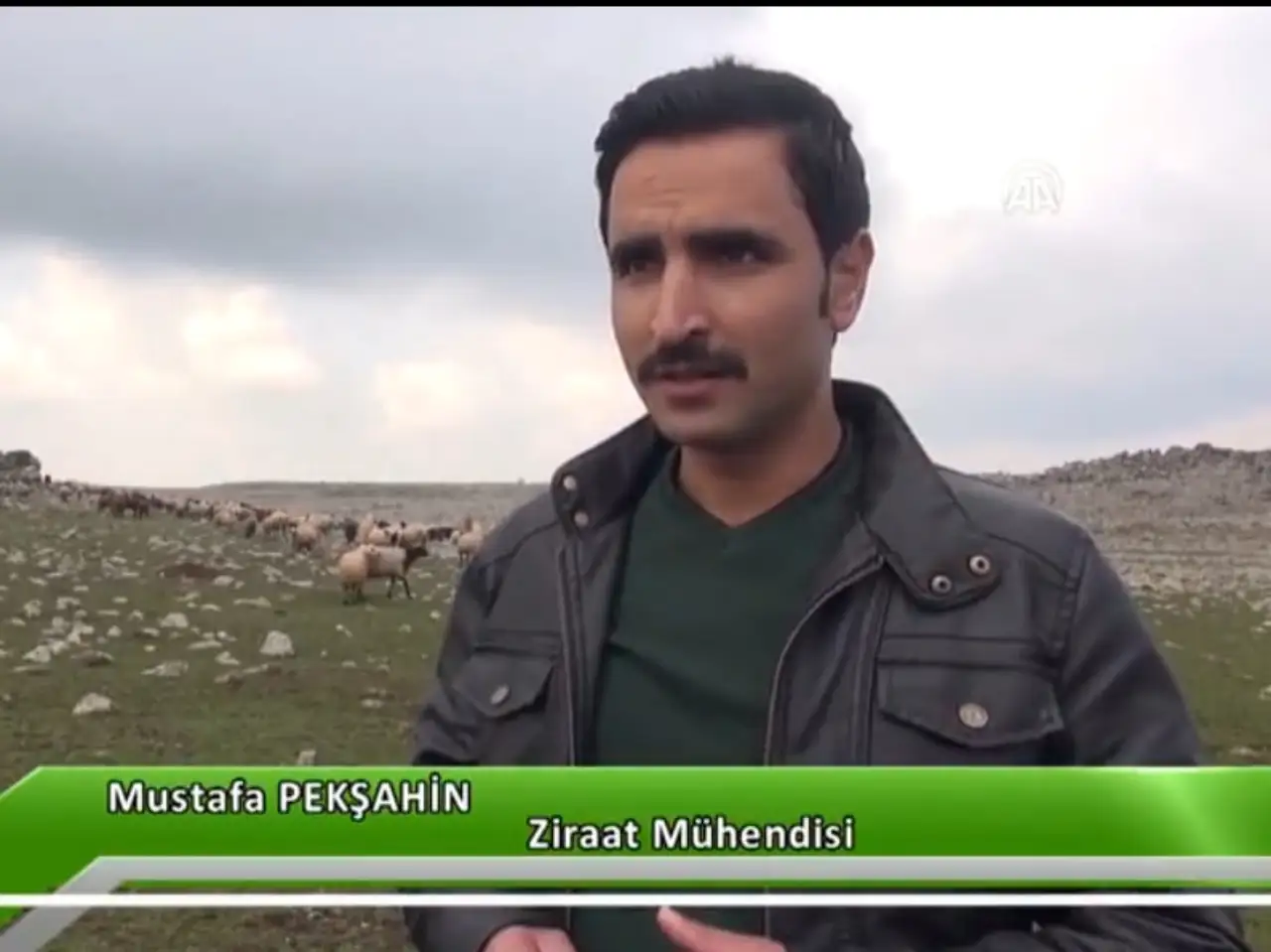 Siverek Sokaklarında Bir Eğitimcinin Yürek Burkan Gözlemi