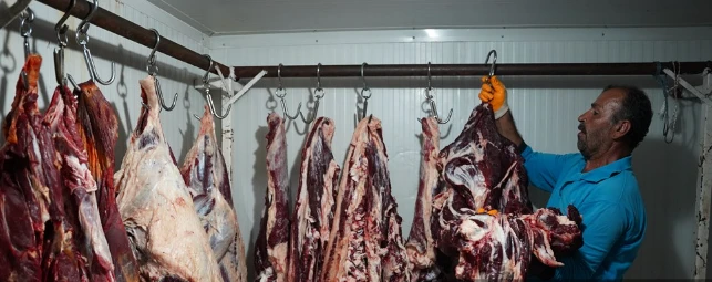 İzinsiz Kesilen 360 Kilogram Et İmha Edildi