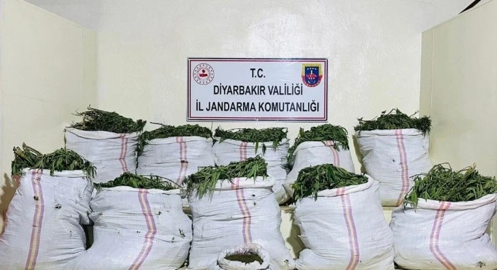 Büyük Uyuşturucu Operasyonu