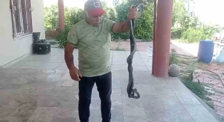 Unutulmaz Düğün Sürprizi