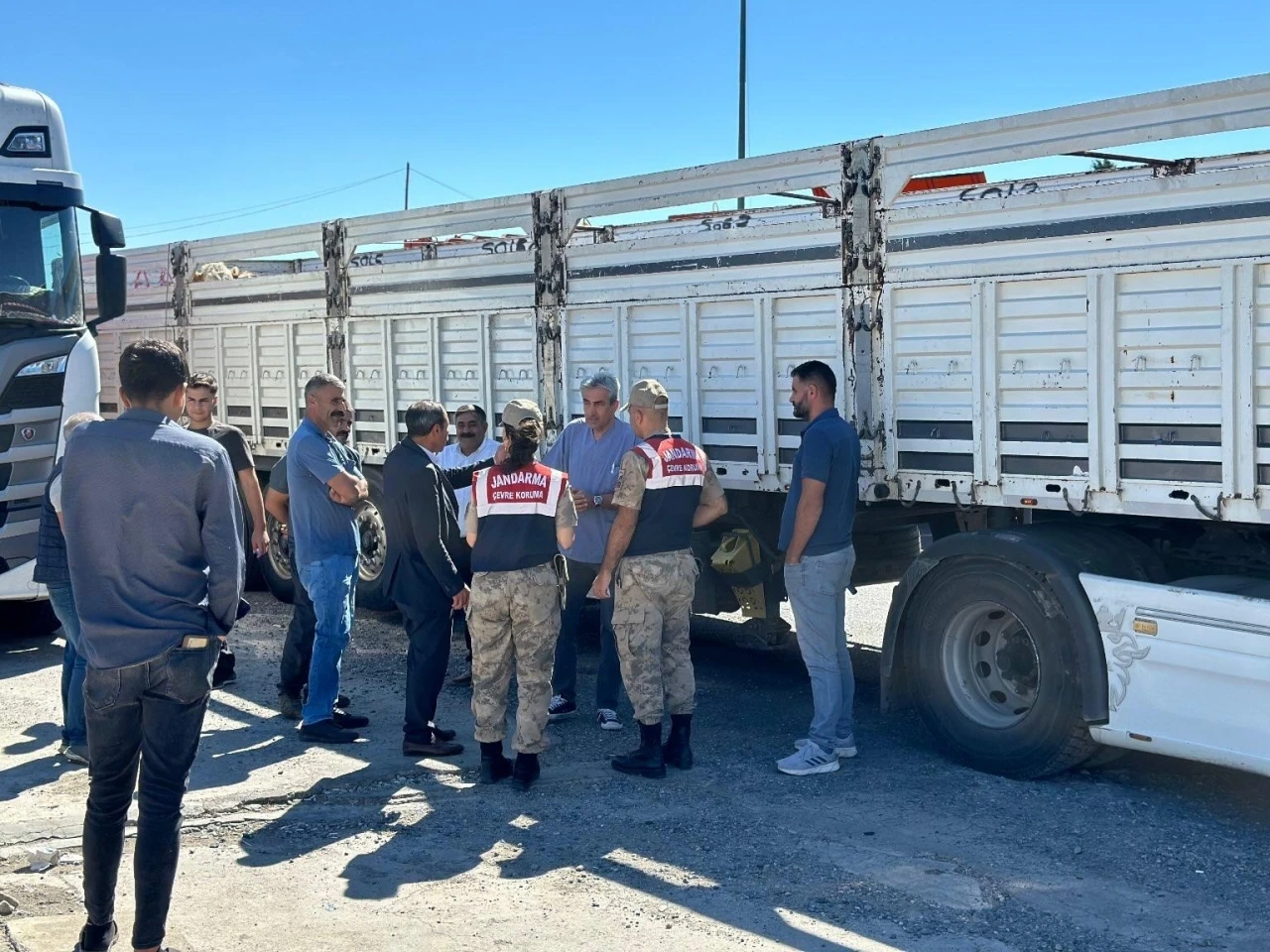 Sevk Belgesi Olmayan 384 Hayvan Kontrole Takıldı