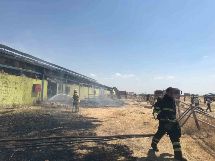Çiftlikte Çıkan Yangına Müdahale Sürüyor