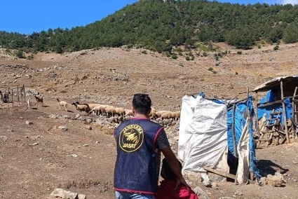 Firari Hükümlü Ormanlık Alanda Yakalandı