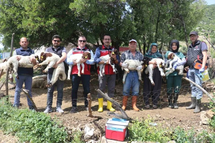 Depremzede Besiciler Devlet Desteğiyle Üretime Devam Ediyor