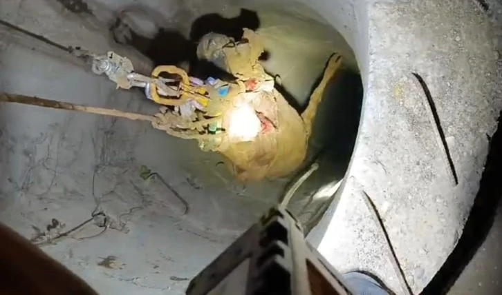 Su Kuyusuna Düşen İnek Halatlı Makara ile Kurtarıldı