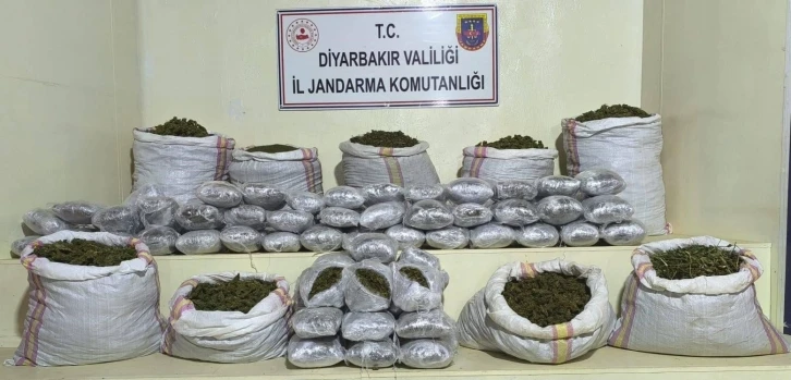 2 Milyon 669 Bin Kök Kenevir ve Skunk Ele Geçirildi