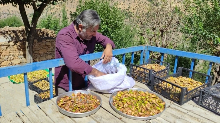 Sason İlçesinde Kış Hazırlıkları: Meyve Kurutma Geleneği Devam Ediyor