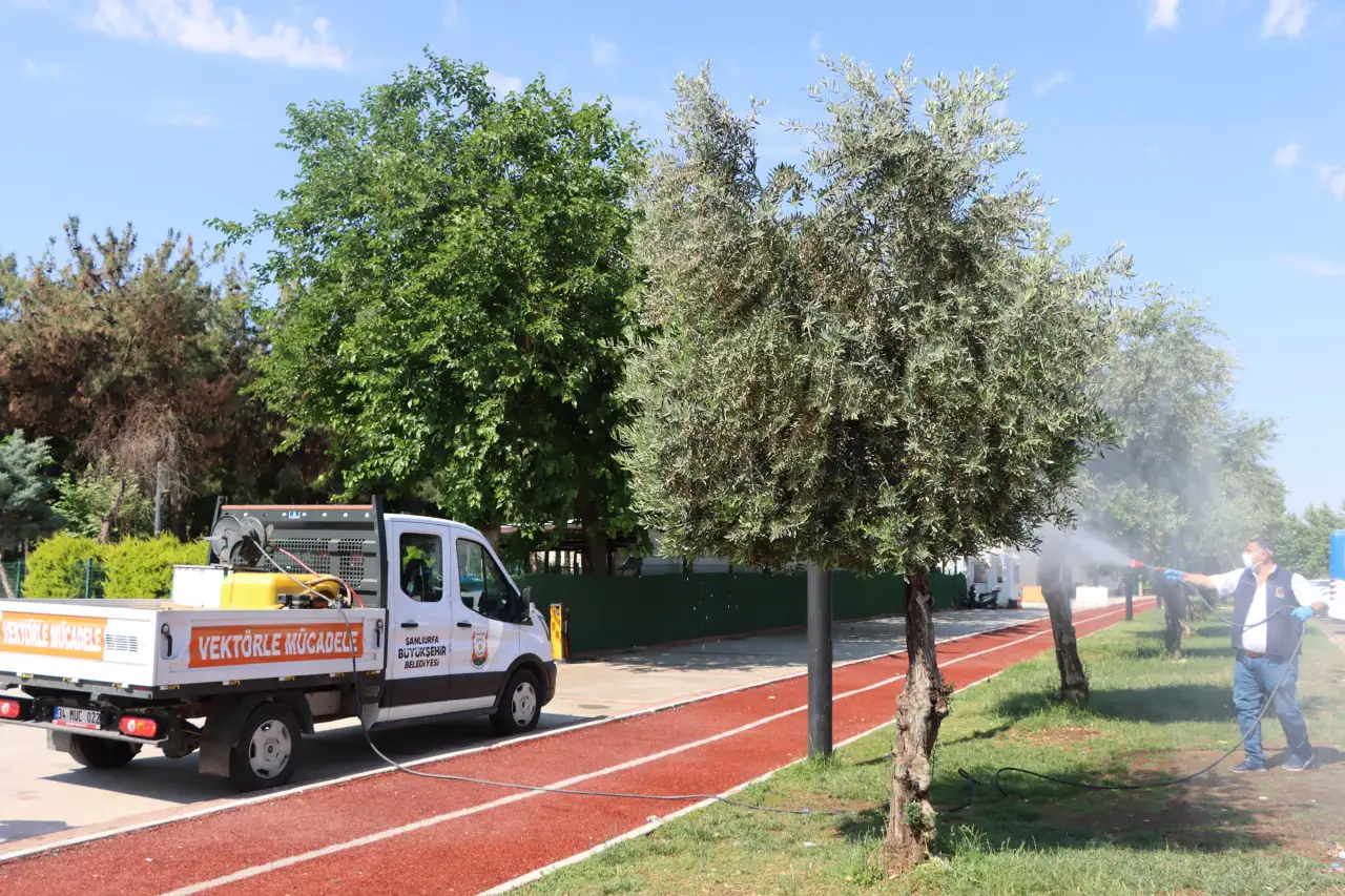 Şanlıurfa'da Haşerelere Karşı 85 Personel ve 40 Araç Gece Gündüz Sahada