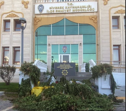 2 Bin 375 Kök Hint Keneviri Ele Geçirildi