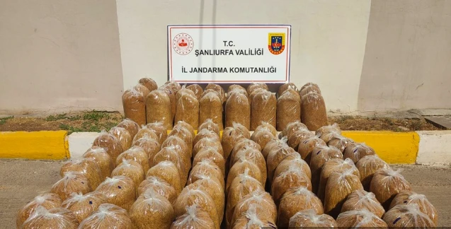 435 Kilogram Kaçak Tütün Ele Geçirildi