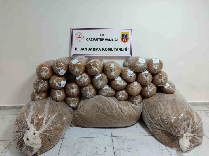 500 Kilo Kaçak Tütün ve Uyuşturucu Madde Ele Geçirildi