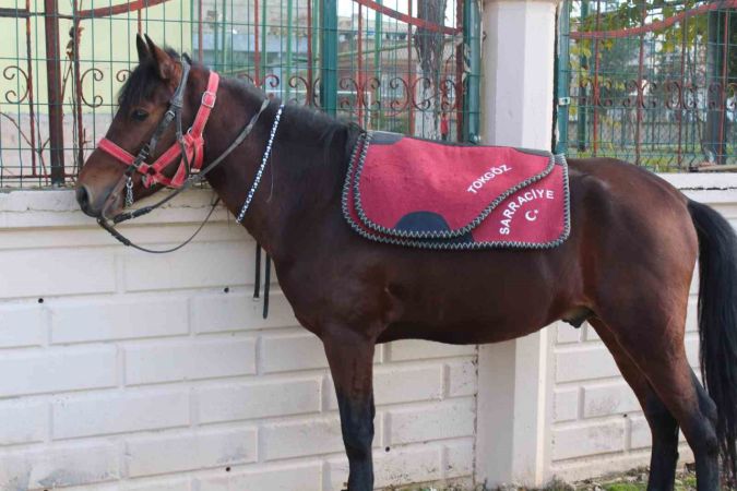 Rahvan Atlara Gözleri Gibi Bakıyor