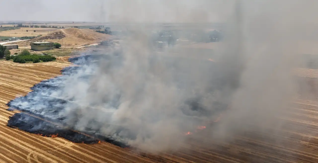 Şanlıurfa’da Çevreci Tarım Hamlesi: Anıza Doğrudan Ekim Uygulamaları Genişliyor