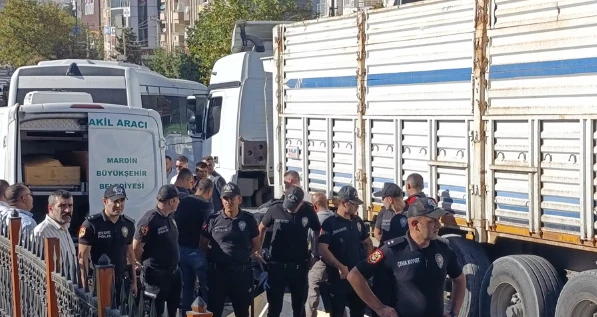 Tırın Çarptığı 60 Yaşındaki Kadın Hayatını Kaybetti