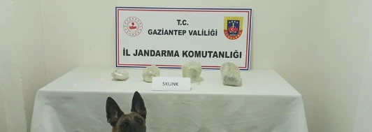 Jandarma Ekiplerinden “Şok Huzur Güven Uygulaması”
