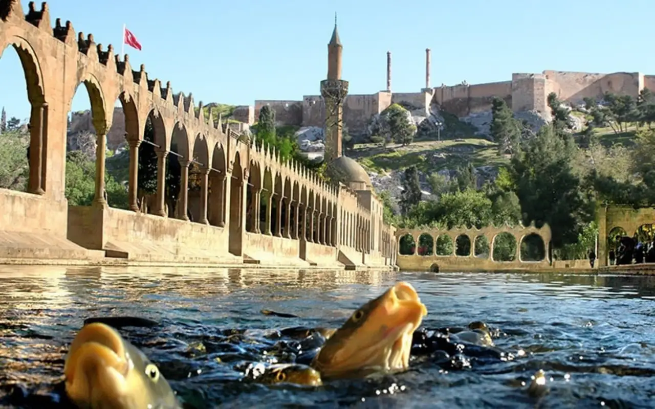 Şanlıurfa’nın Kalbi Olan Balıklıgöl Çevresindeki İşletmeler Mercek Altında!