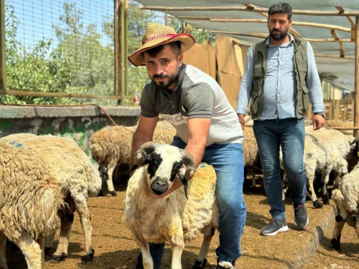 Kurban Bayramının Son Gününde Hayvan Pazarlarında Yoğunluk