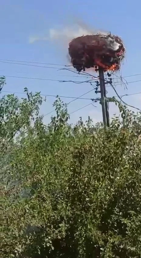 Korkutan Yangın