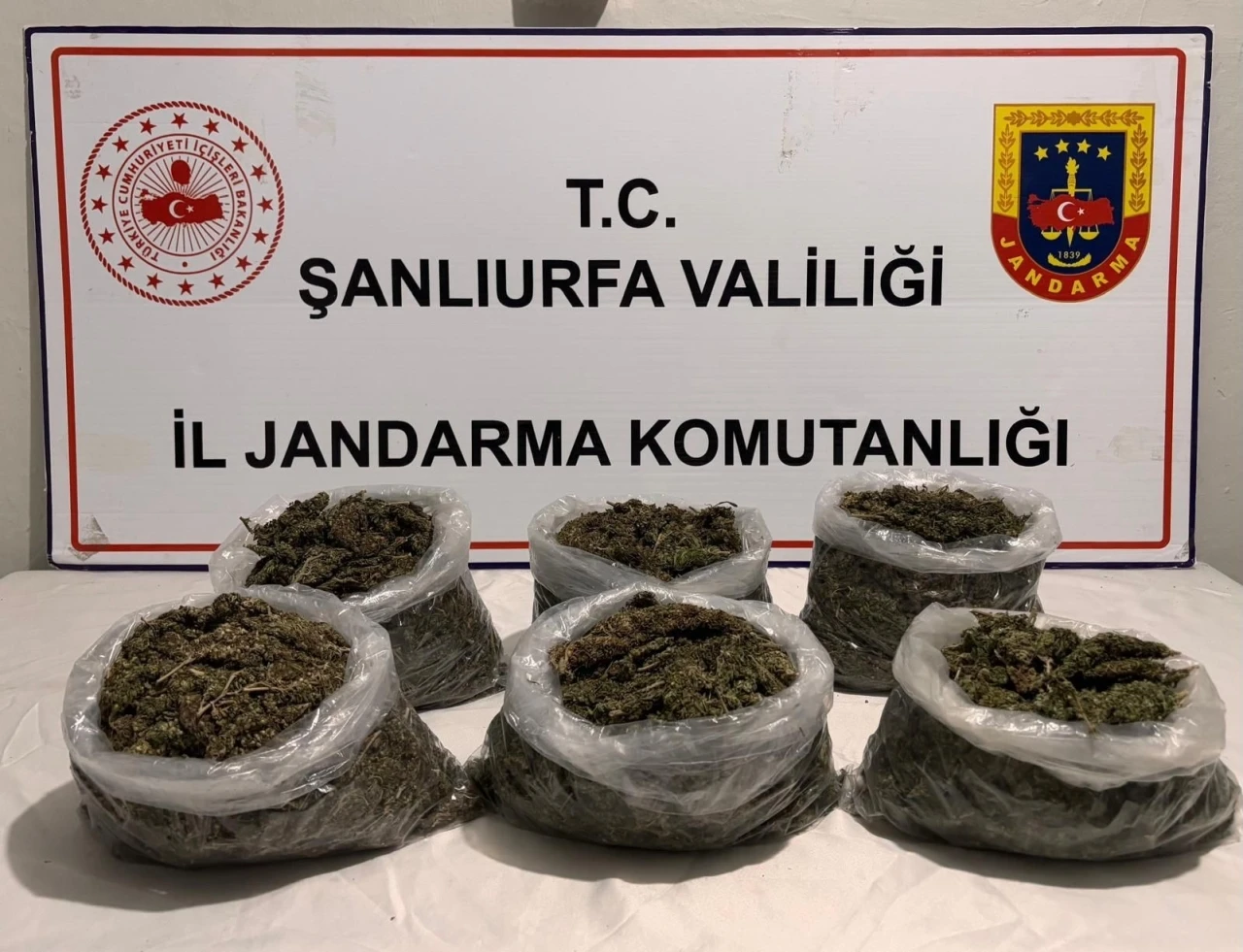 Uyuşturucu Operasyonu 16 Gözaltı