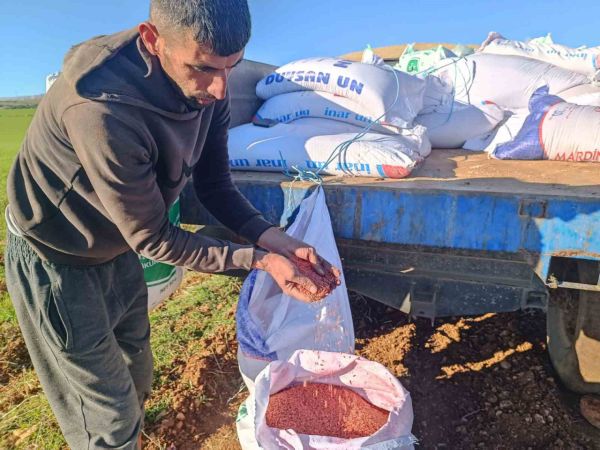 Buğday Ekimi Başladı