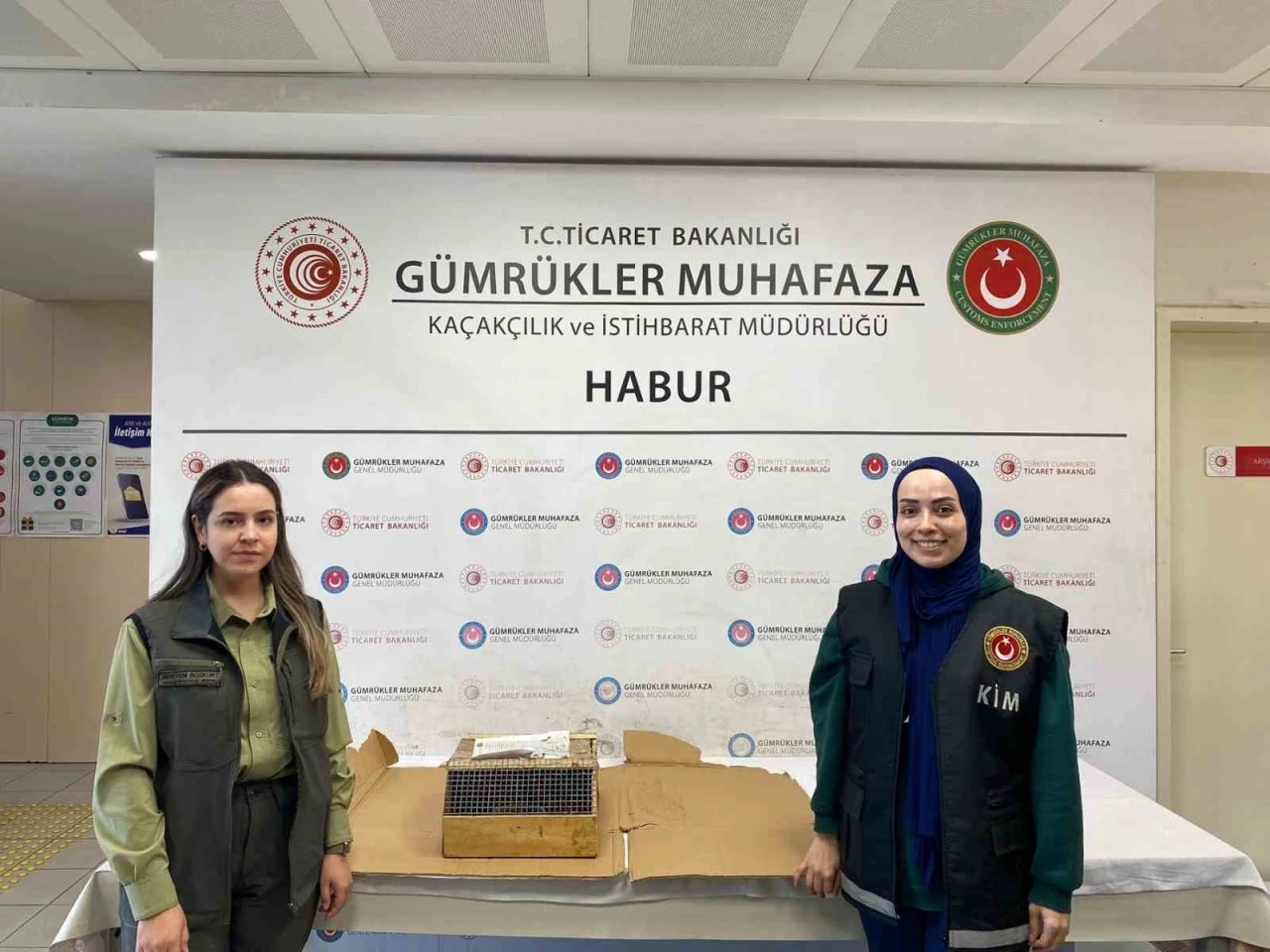 Kaçak Yollardan Getirilen 3 Makak Maymunu Yakalandı