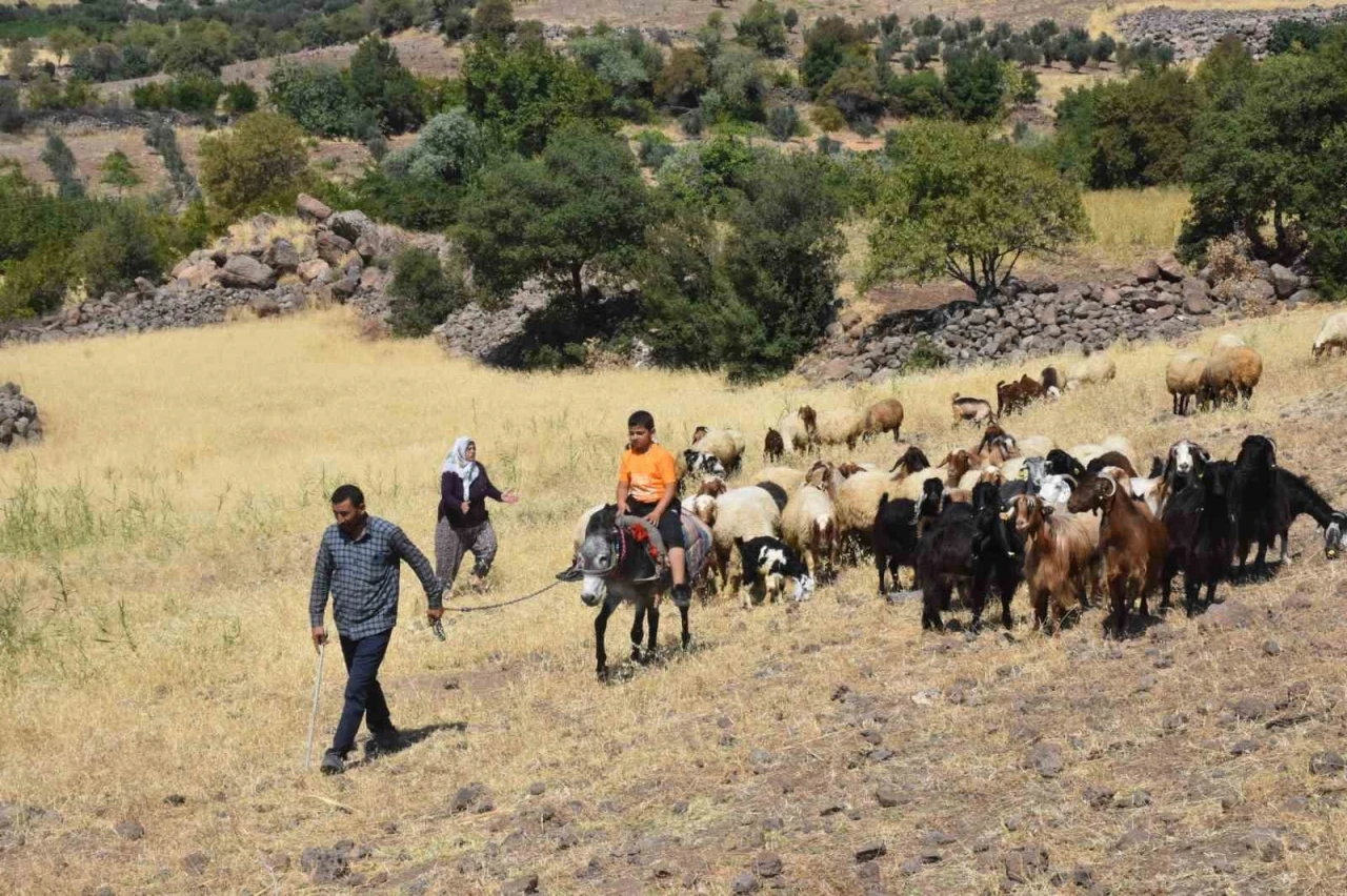 Hayvancılığa Verdiği Destekle O İlçede Üretim Artıyor