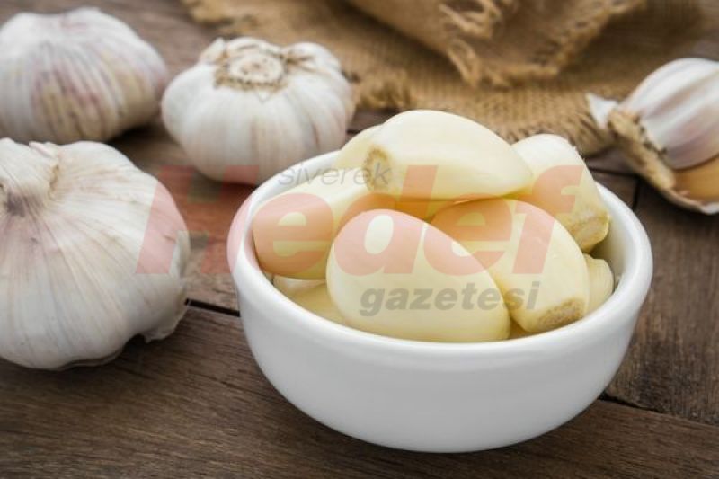 Şifalı Bitkiler Nelerdir