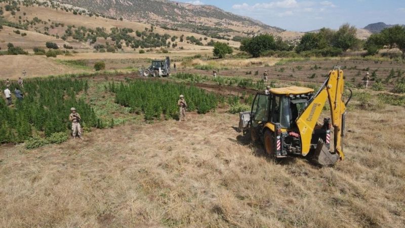 Tarihi Uyuşturucu Operasyonu: 2 Ton Esrar Ele Geçirildi