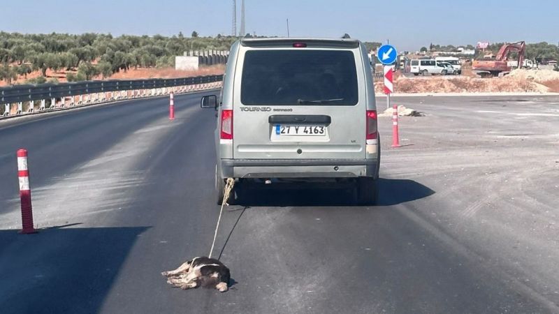 Köpeği Aracına Bağlayıp Sürükleyen Şahıs Yakalandı