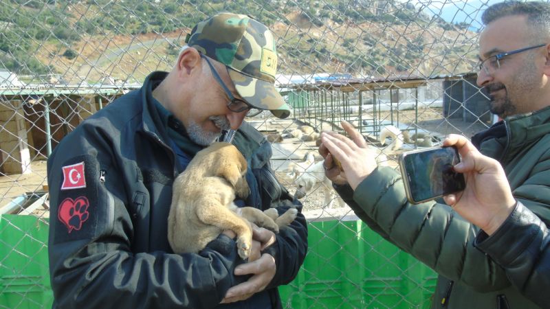 İslahiye'de 1000 Sahipsiz Sokak Hayvanı Yeni Yuvalarına Kavuştu