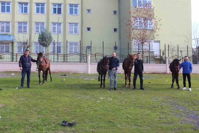 Rahvan Atlara Gözleri Gibi Bakıyor