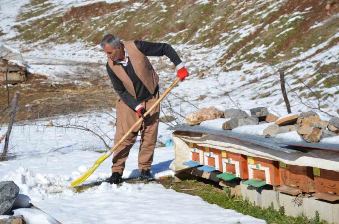 Binlerce Bal Arısı İçin Mücadele