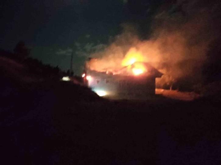 Sincik'te Ev Yangını Korkuttu